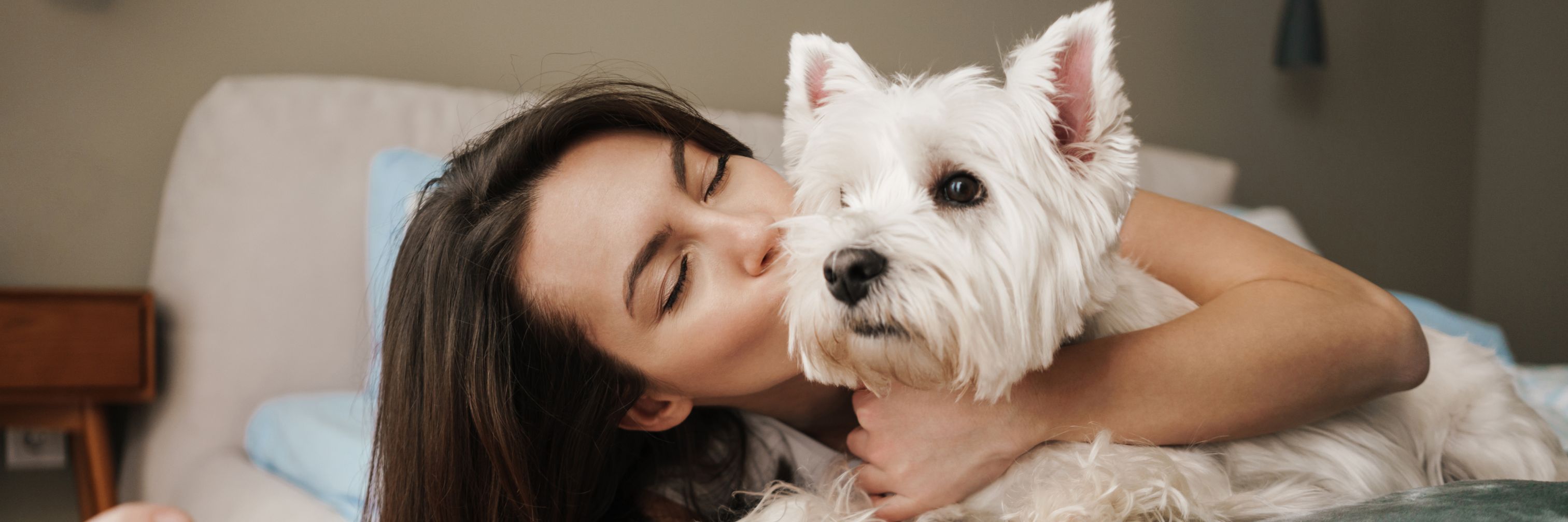 Pet Store Banner