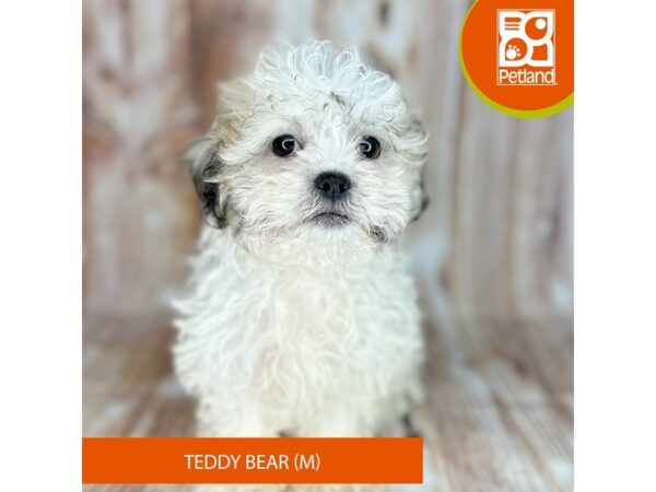 Teddy Bear – 9187